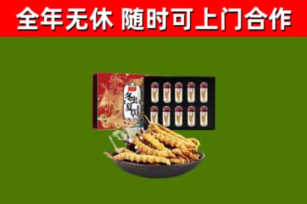 黄州区烟酒回收冬虫夏草礼盒.jpg