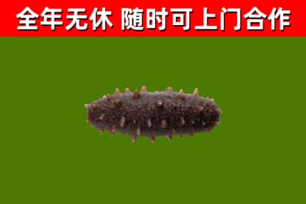 黄州区烟酒回收干海参.jpg